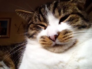 Proud mother of two University students. A very big fan of family. A cat lover and Headteacher at a small rural school.