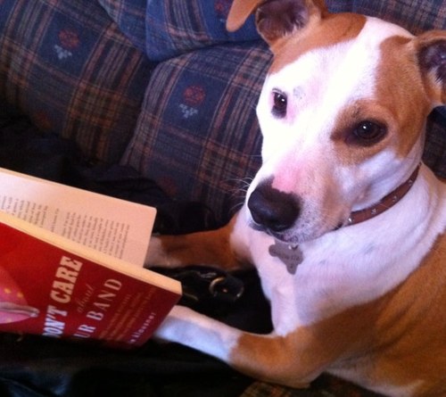 sevenelefant's profile picture. I like stuff