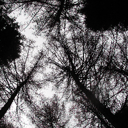 RStilgoe's profile picture. 