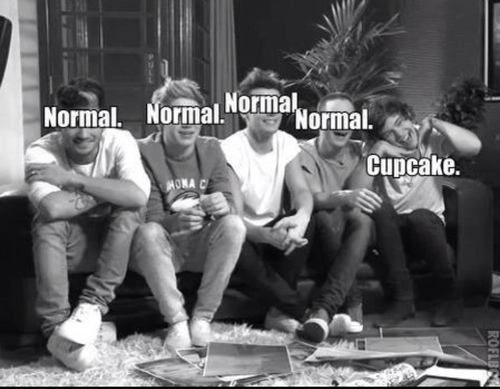 #directioners. amazayn, extraordiharry, phenomeniall, brilliam, fabolouis!❤