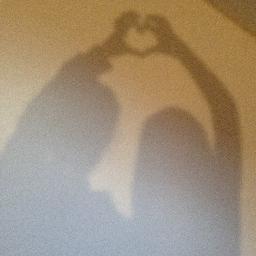 VanessaDureux's profile picture. One Band, One Dream, One Direcitone.♥♥
Louis, Niall, Liam, Zayn, Harry.♥♥ Love One Directione.♥♥