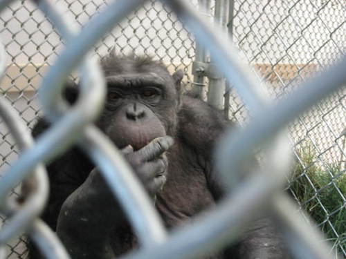 topicofinterest's profile picture. 