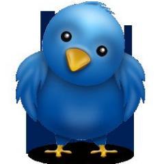 Quer ganhar até 500 seguidores por dia? Use http://t.co/FZWMGkh1
