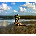 rob schenk - @RobSchenk_ - Twitter