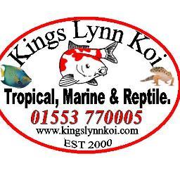 Koi, Marine, Tropical and Reptile shop. Situated in the North Lynn Industrial Estate in Kings Lynn. Norfolk. Come on down to Unit 4 Victory Court PE30 2HZ.