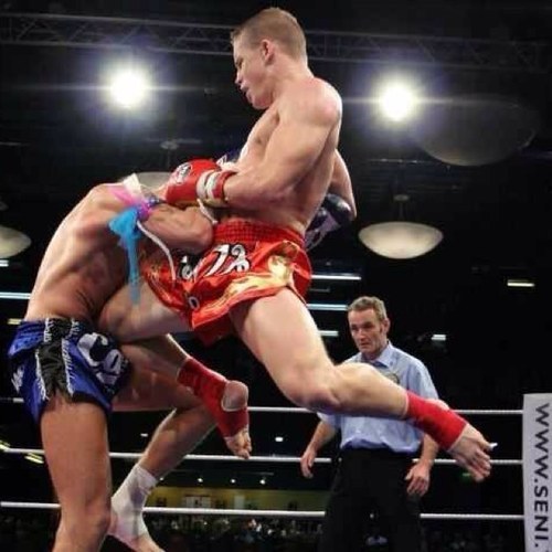 PRIMAL100's profile picture. 