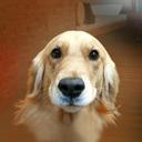 jorge polo - @jorgepolo18 - Twitter