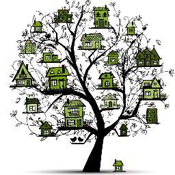 informações, descobertas, tecnologias, ideias e conhecimentos sobre uma vida mais verde e feliz :)