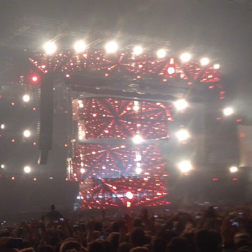 tomatpuree's profile picture. 