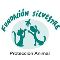 Fundació Silvestre(@FunSilvestre) 's Twitter Profileg