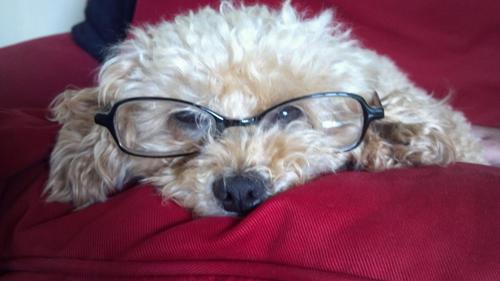 CunninghamDaisy's profile picture. 