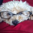 sasha cunningham - @CunninghamDaisy - Twitter