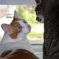 Fred Vultee (@fredvultee) 's Twitter Profile Photo