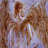 rykikalicor's profile image