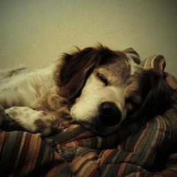 Noisello's profile picture. Mi piace ascoltare più che parlare. UTOPIA è il mio paese.