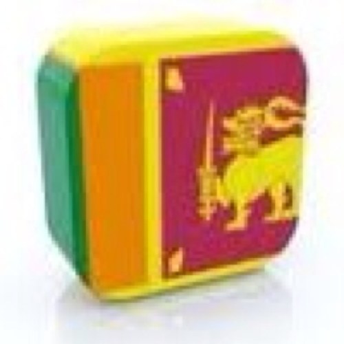 SrilankaWeb provides professional services for Srilankans in Italy - since 2008 ~ [Banker n IT analyst]