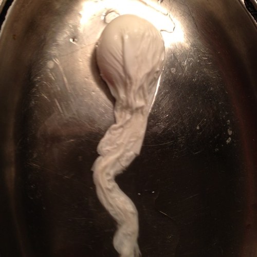 OZ_WOF's profile picture. Chef, Father and Man In that order.........!!!!        Director of The Sussex Bar Company