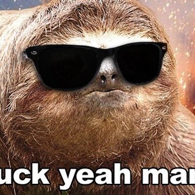 sloth rocker on twitter listening to some sloth fighters love