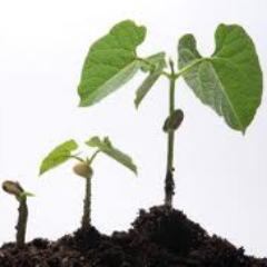 DutchNetworksNV's profile picture. Dutch Networks invests in high potential internet companies, knowledge of Magento or other CMS, SEO/SEA, (social media) internet marketing