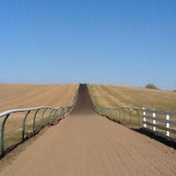 Pedigrees, Linebreeding, Inbreeding, Nicking, Genetic Influence, Mating Plans.