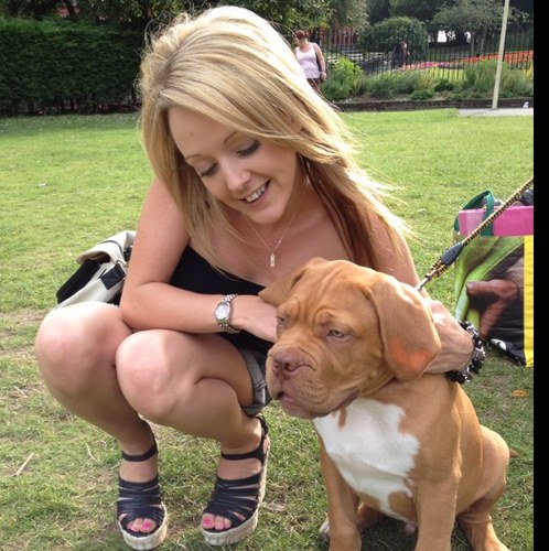 icclsue's profile picture. 