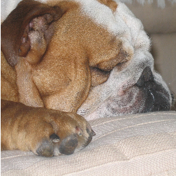 macarenamia1's profile picture. 