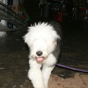 Ciara Mejia - @Ciara_Mejia - Twitter