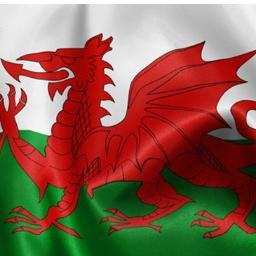 leerhys17's profile picture. 