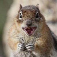 Andrew Hardie (@hardieresearch) 's Twitter Profile Photo Andrew Hardie (@hardieresearch) 's Twitter Profile Photo