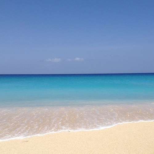 STX_NJLIFE's profile picture. 