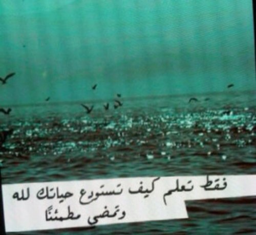 الحمدلله بقدر ما نسعد ونتألم