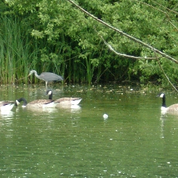 davewclarke5's profile picture. 