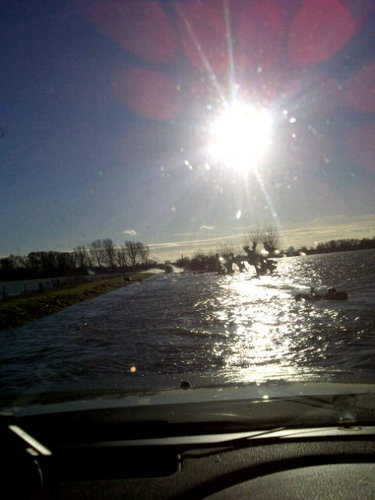 IGZ_Tweets's profile picture. 