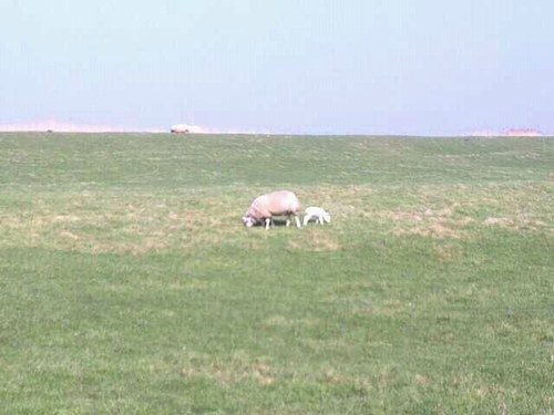 Burnoutlight's profile picture. in een burnout sinds een paar maanden
//  tips, ervaringen, gedachten, opgedane inzichten