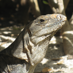 AGlobalTrekker's profile picture. A source for travellers. Trip ideas, stories, photos, tips and more! #travel