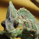 Michael Ravens - @MichaelRavens1 - Twitter