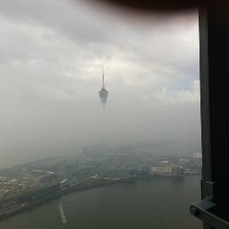 miki7ya's profile picture. 