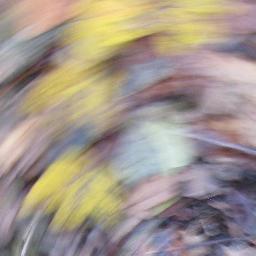 health2wealthy's profile picture. health2wealthy