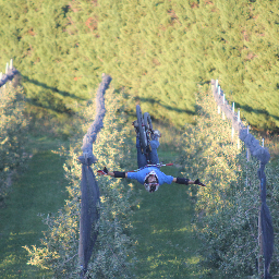 chauvetbenoit's profile picture. 