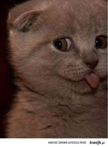 #KoreanStarsCometoPoland @pkasiap tutaj xddd dajcie follow back