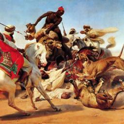 anisbouzekri1's profile picture. 