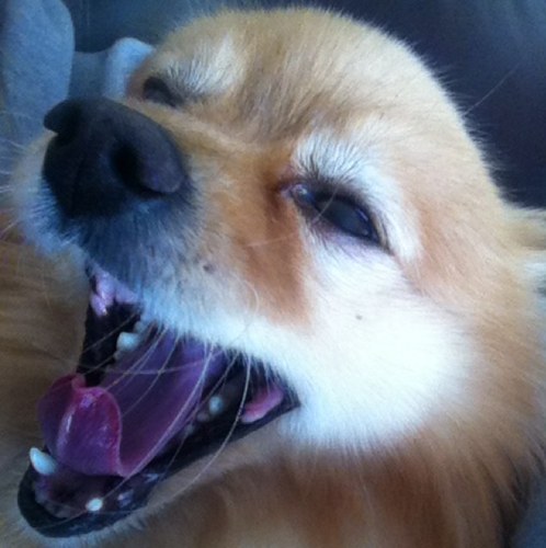 I'm incredibly handsome.