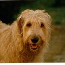 Danny Stubbs - @DannyStubbs2 - Twitter