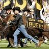 billhendrick's profile picture. Buffs fan, Kappa Sig, Rotarian, cattle dog rescue