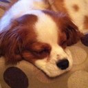 Thomas Egan - @chewnado - Twitter