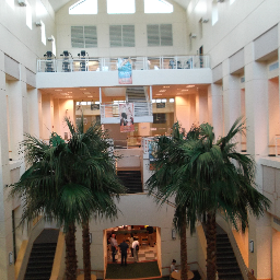 mlross's profile picture. 