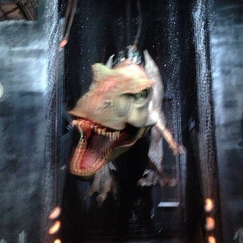 Cameron Joseph Profile