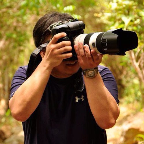 MinhPham748's profile picture. 