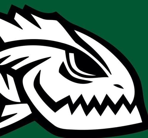 HRMonsters's profile picture. Housatonic River Monsters Baseball Club
Members of the Berkshire Adult Baseball League