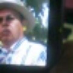 Contador,estudios de filosofia Rusia,Mecanico,fotografo,Analista politico,Soldador,Negociante.